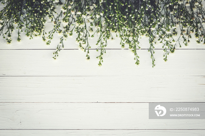 White flower on white wood board background with space.