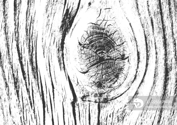 wood grain texture with a transparent background