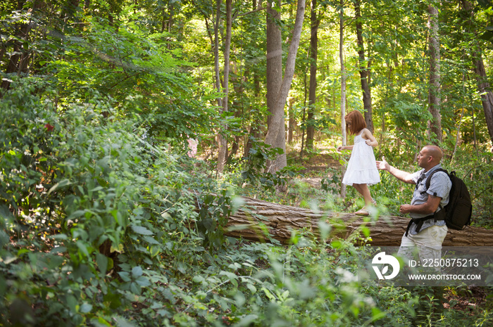 Father with daughter (6-7) in forest