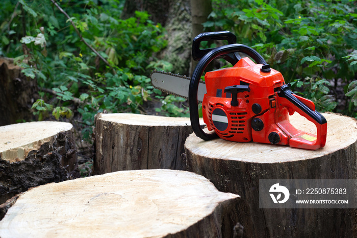 electric chainsaw on cut tree stumps