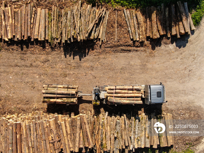 TOP DOWN: Flying above a loaded grey truck parked by large stacks of pine logs.