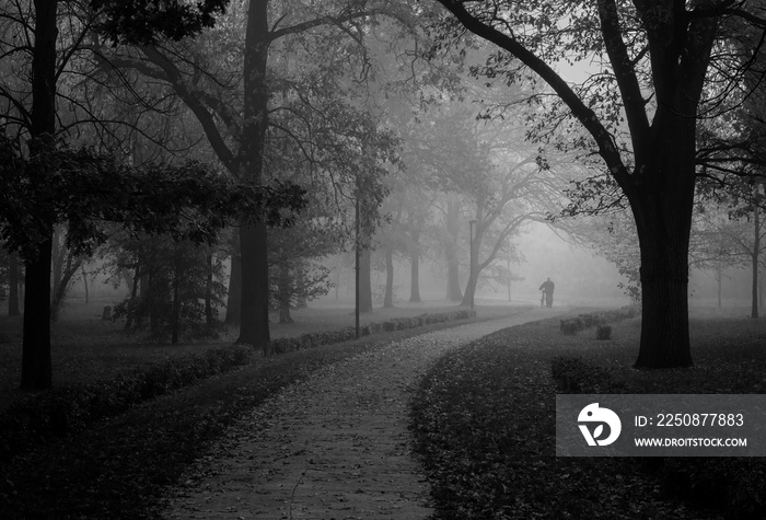 Man walking in park on beautiful misty autumn morning in black and white