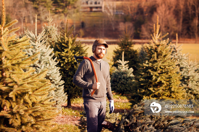 Young man standing among spruce trees