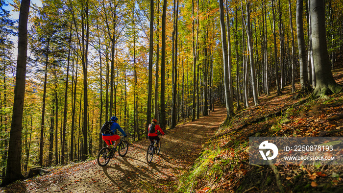 骑自行车，山地自行车情侣在秋季森林的自行车道上。秋季景观中的山地自行车