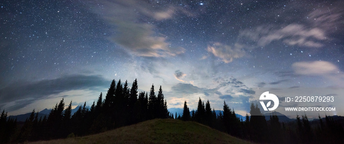 面向云杉林和山脊的山丘全景，神奇的星夜sk