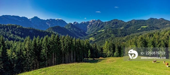 Logarska Dolina