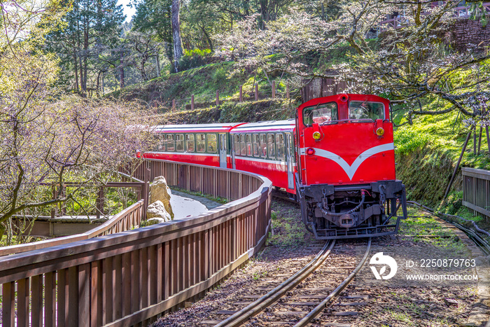 railway in alishan forest recreation area