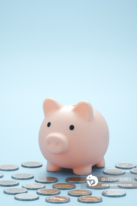 Pink piggy bank and coins isolated on Light blue background. Soft focus