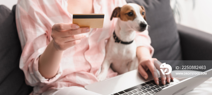 年轻女子在家网购时，拿着信用卡靠近狗和笔记本电脑的局部视图，b