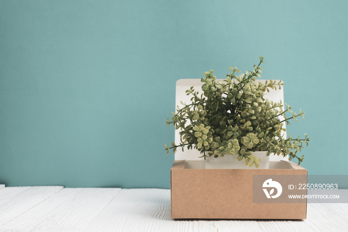 Little decoration tree growing in package brown cardboard box or tray on bright white wooden table w