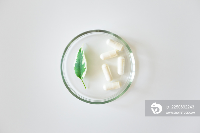 Probiotic supplement in capsules and plant leaf in glass petri dish on white background, above. Conc