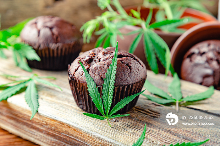 Cooking baking chocolate weed muffins. Cupcake with marijuana on wooden table. Chocolate cupcake muf