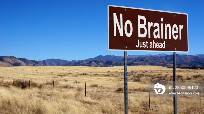 禁止Brainer棕色路标