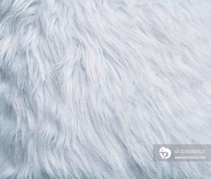 Beautiful fur texture image