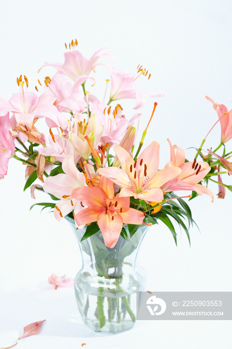 bouquet of flowers