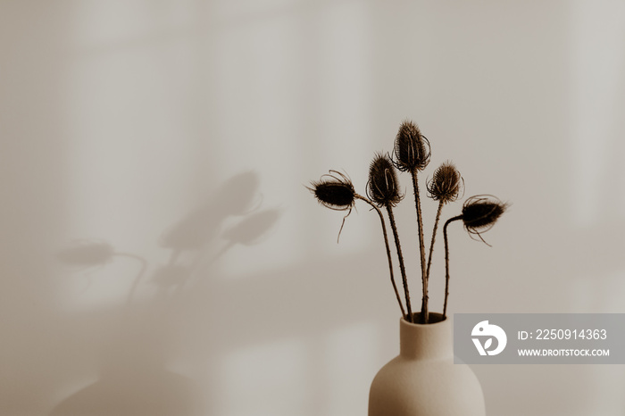 Bunch of wild dried flower in beige vase in a room with white wall