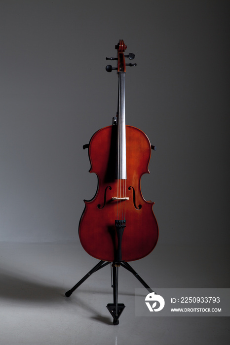 Cello im Studio auf Ständer stehend