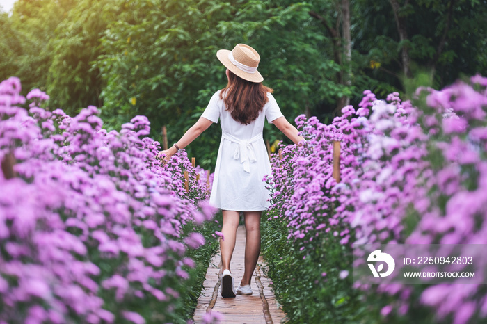 Rear view image of a beautiful young asian woman walking in Margaret flower field