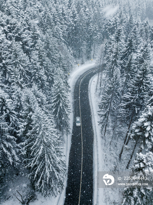 寒冷的冬天，白色汽车在森林里开着空荡荡的路。公路旅行的游客在森林里巡游