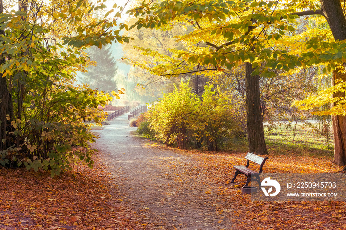 美丽多彩的秋季公园的步道