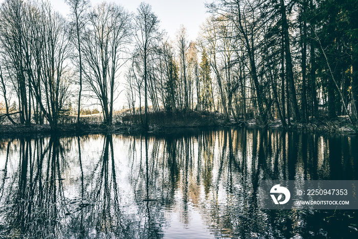 Fantastic autumn bare trees view with reflections on a forest lake