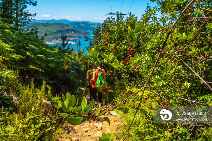 Hikers on the path with a lot of vegetation on the path of the town of Orio, Guipuzcoa, Basque Count