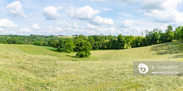 Freshly mown hay in rural Ohio