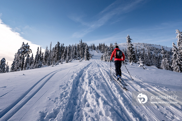 登山者在山区进行野外滑雪徒步旅行。在高山景观中进行滑雪旅行，有雪