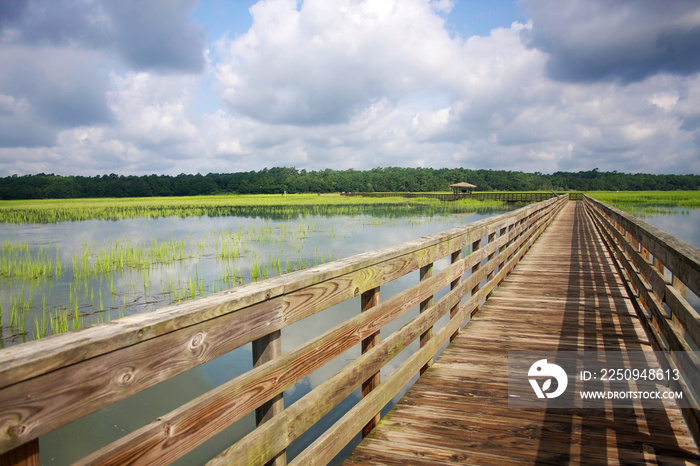 Huntington Beach State Park, South Carolina, USA. View from the wooden boardwalk on the expansive sa