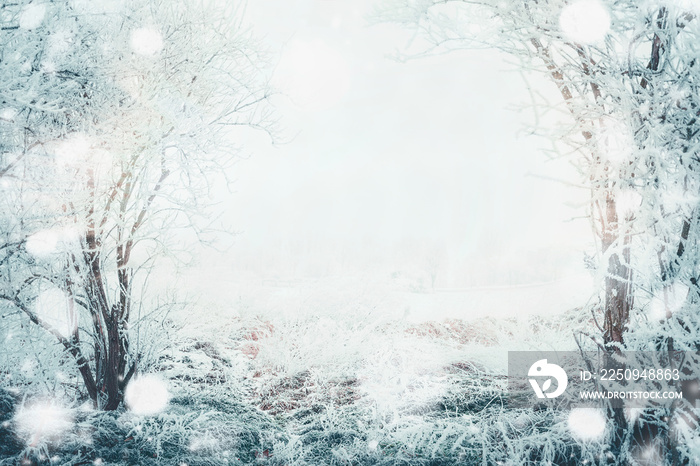 Winter day landscape with frozen tress and snow, outdoor nature background, frame