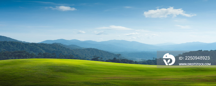 绿地和山地景观全景