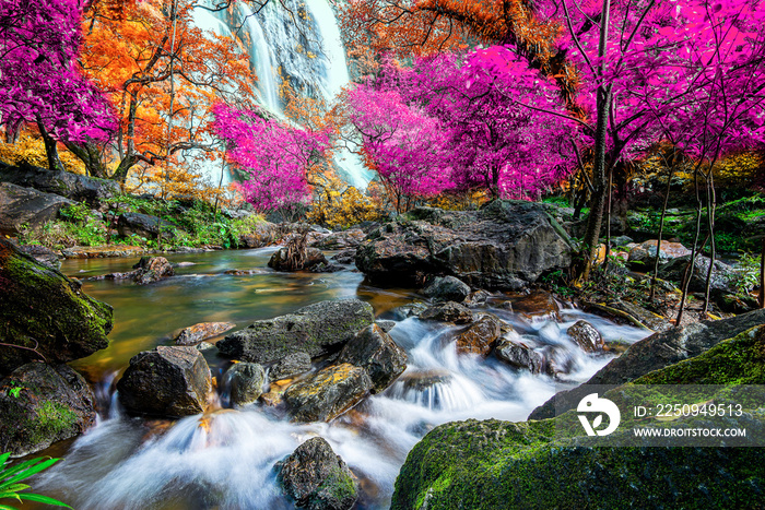 Amazing in nature, beautiful waterfall at colorful autumn forest in fall season	