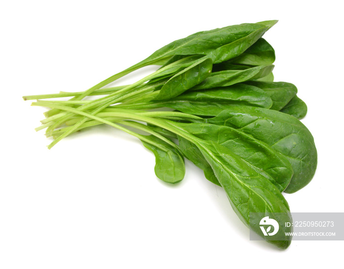 Bunch of spinach leaves on isolated white background