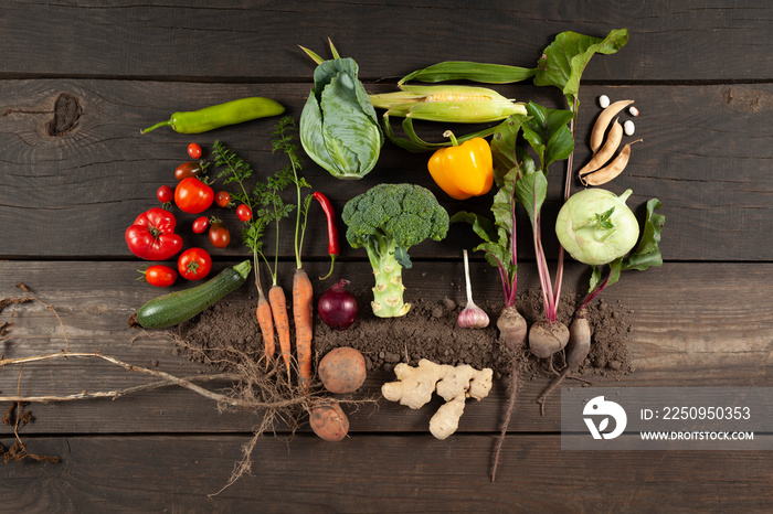 Local vegetables grown in the backyard on a wooden background. Autumn harvest of healthy food.