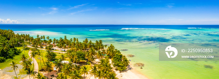 多米尼加共和国萨奥纳岛加勒比海白色沙滩上的椰子树。美丽