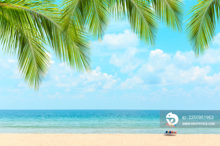 泰国普吉岛的卡戎海滩。带沙滩伞的白色沙滩。夏天，旅行，度假