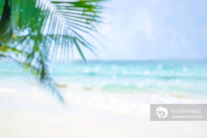 Beautiful view of  blue sea and white beach with coconut leaves.Blur image.