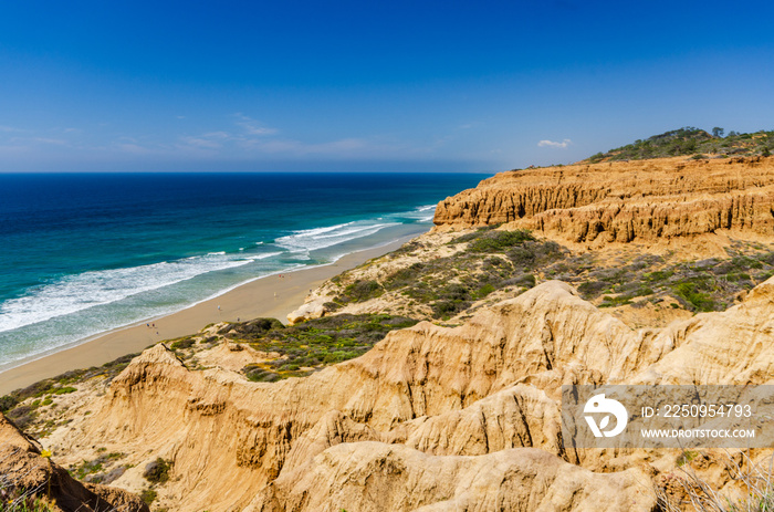 Sandstone cliffs. and beach at Torrey Pines State Natural Preserve in Southern California.