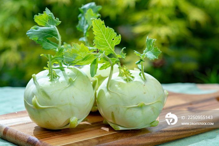 Fresh ripe bio white cabbage kohlrabi from organic farm, close up