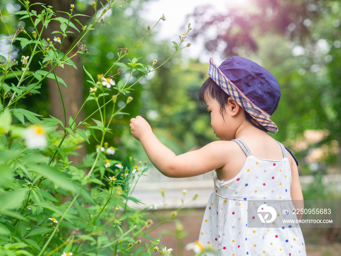 农场里快乐的可爱小女孩。农业和儿童概念。