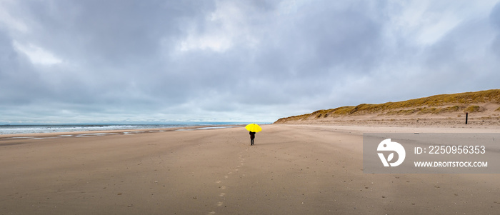 Panoramic winter beach scene. Unidentified young person with large yellow umbrella on deserted beach