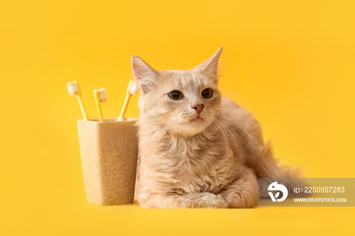 Cute cat with tooth brushes on color background