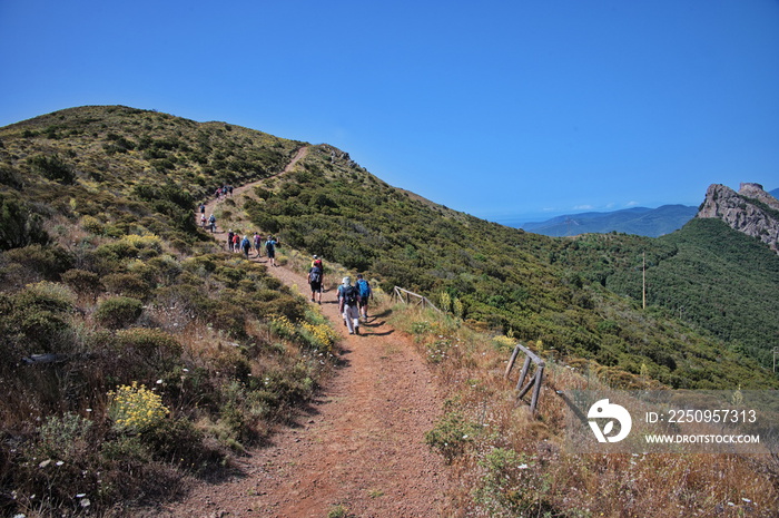 一群徒步旅行者在意大利的厄尔巴岛徒步旅行