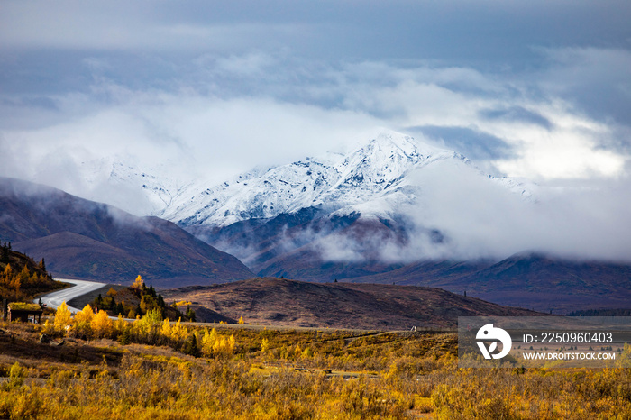 Denali national park view from Savage river Canyon trail