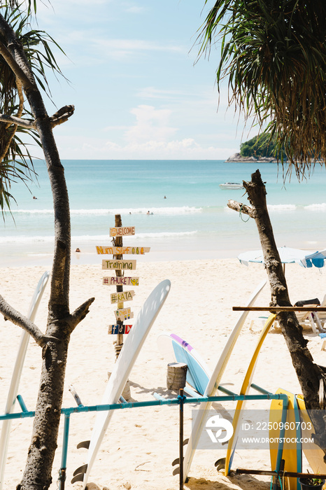 暑假海滩上的冲浪板和棕榈树色彩缤纷的天空。