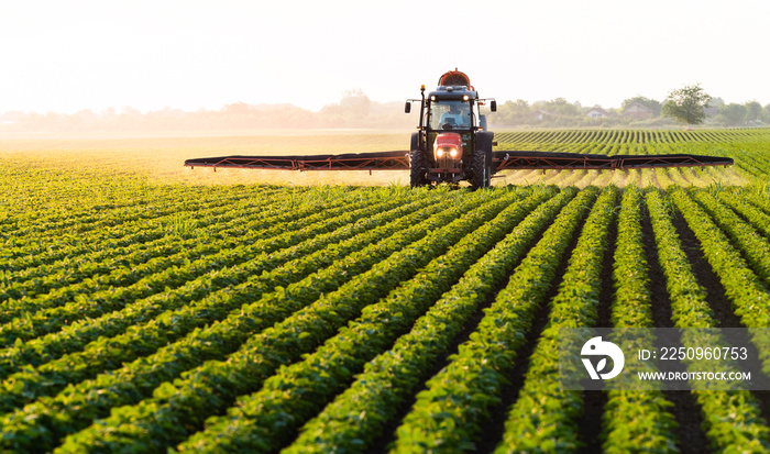 Tractor spraying soybean field at spring