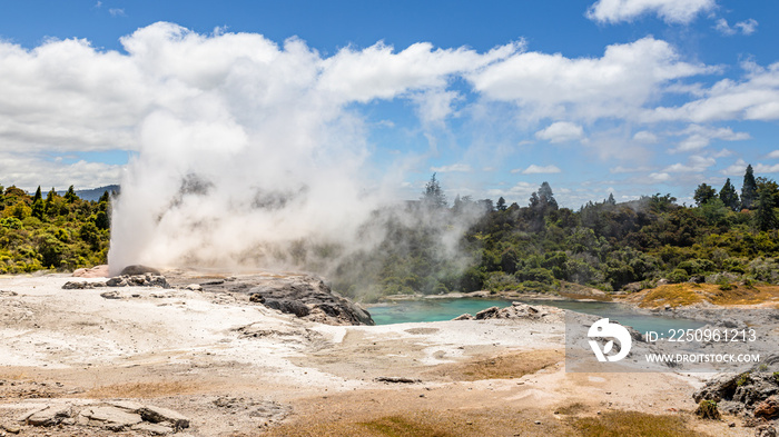 Geyser in New Zealand Rotorua