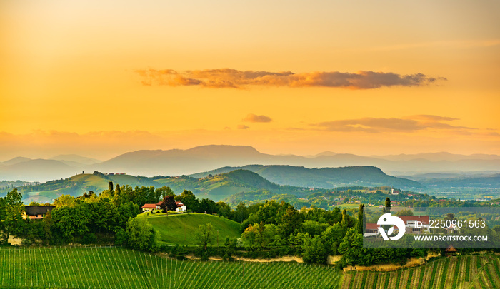 欧洲奥地利甘利茨附近的南斯蒂利亚葡萄园景观。从葡萄酒之路俯瞰葡萄山