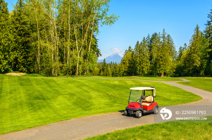 Golf carts on a golf course