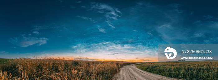 Night Starry Sky With Glowing Stars Above Countryside Landscape. Noctilucent Clouds Above Rural Fiel